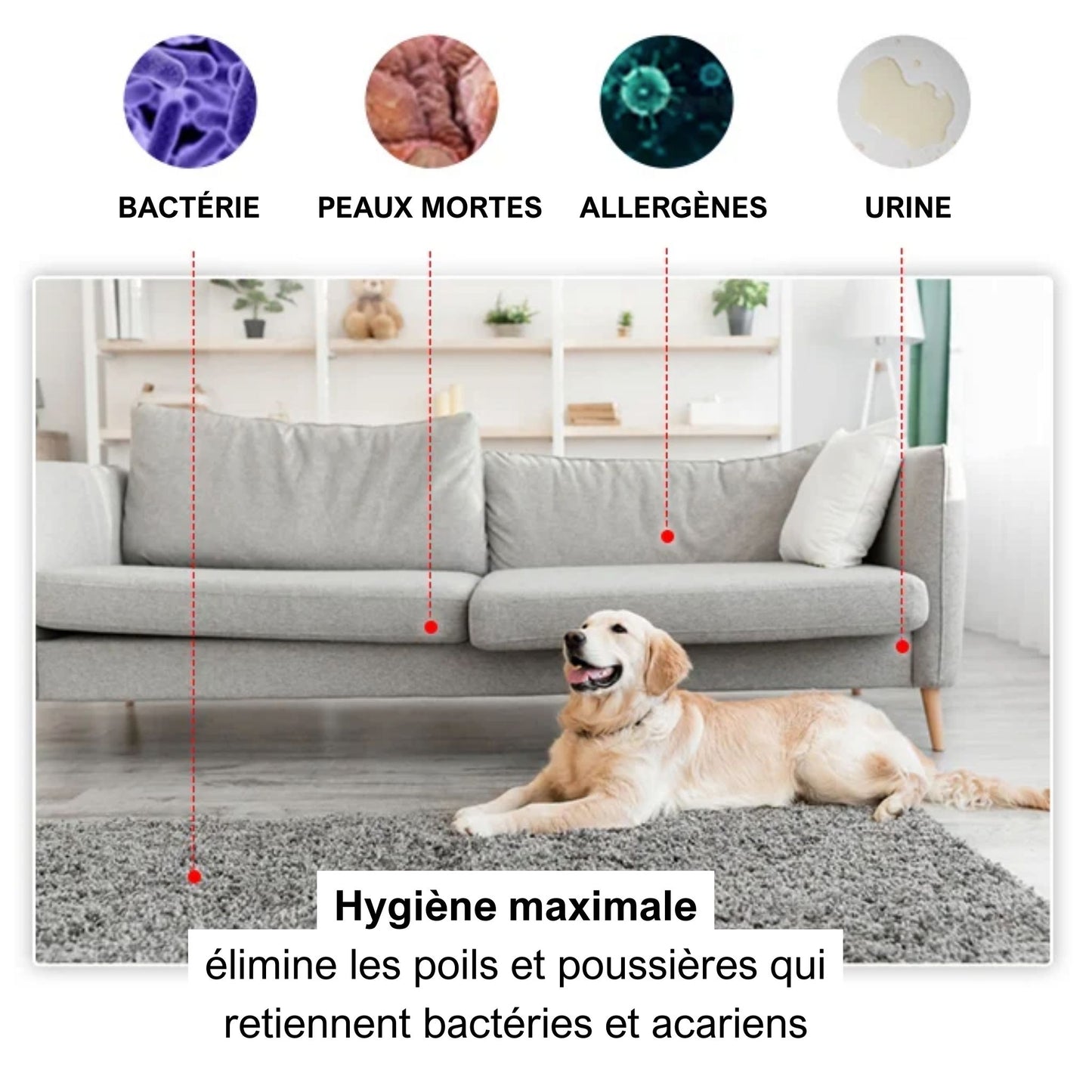Kit de nettoyage des poils - Imensia™