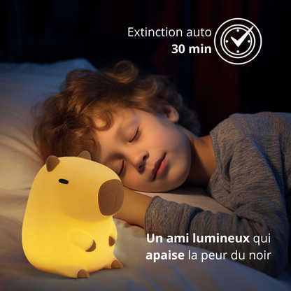 Compagnon de Nuit Réconfortant